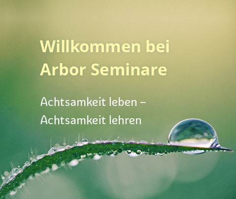 Willkommen bei Arbor Seminare – Achtsamkeit leben, Achtsamkeit lehren